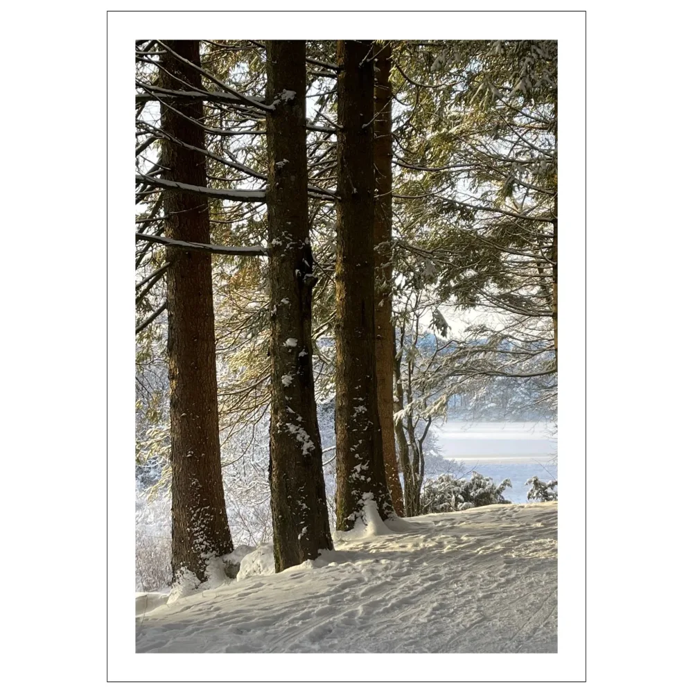 VINTERMAGI No21 – PLAKAT OG LERRET VINTERMAGI No21 – PLAKAT OG LERRET