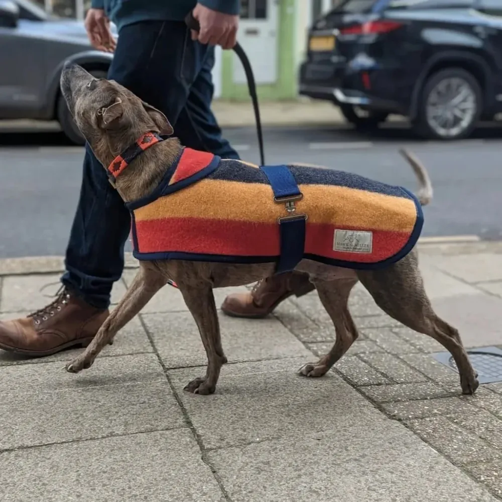 Friday Fox "Earlys of Whitney" Hundedekken - Bilde 2