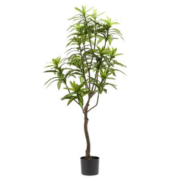 KUNSTIG PLANTE EMERALD DRACEAENA I POTTE 130CM KUNSTIG PLANTE EMERALD DRACEAENA I POTTE 130CM
