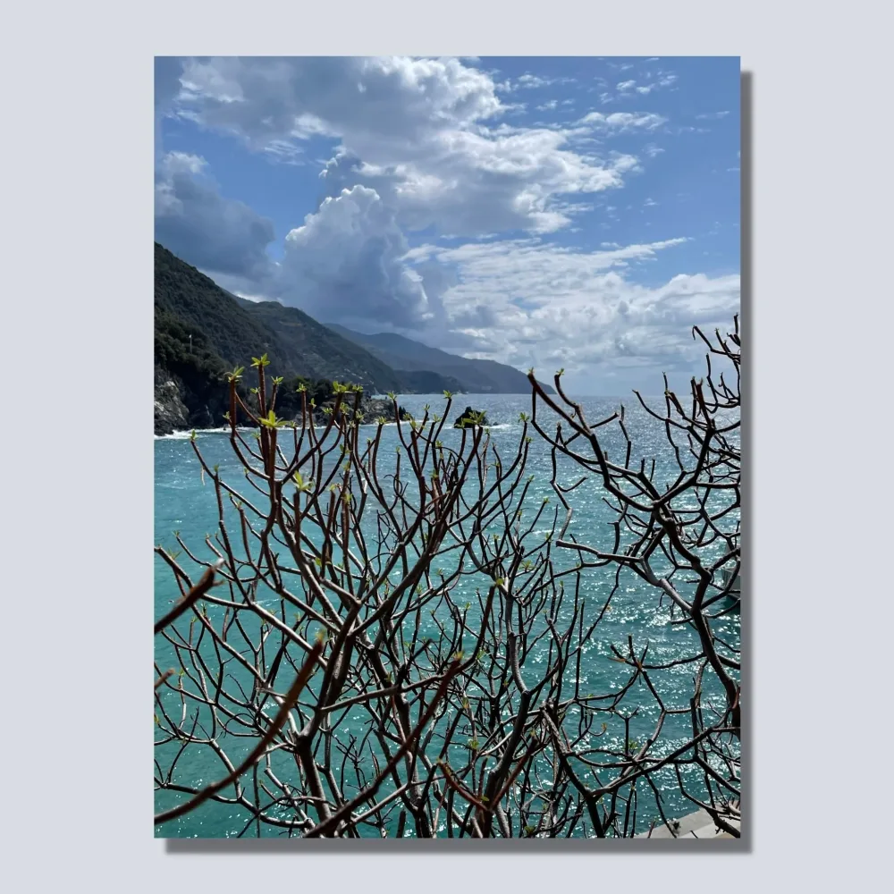 MONTEROSSO AL MARE No6 - PLAKAT OG LERRET - Bilde 3