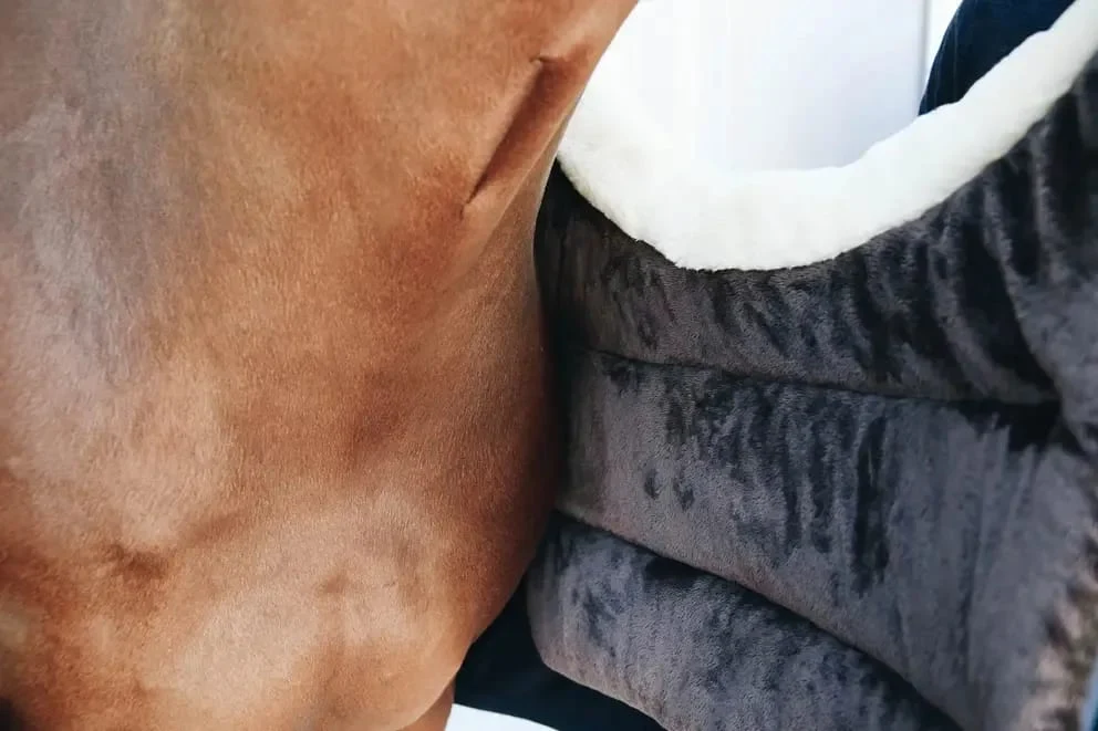 Kentucky Horse BIB Winter - Bilde 2