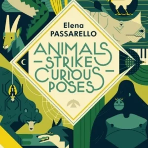 Animals Strike Curious Poses Animals Strike Curious Poses