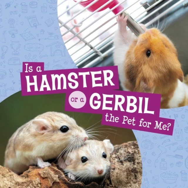 Is a Hamster or a Gerbil the Pet for Me? - Bilde 2