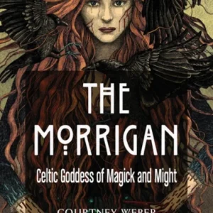 The Morrigan The Morrigan