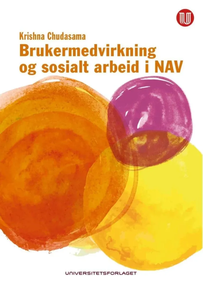 Brukermedvirkning og sosialt arbeid i NAV - Bilde 2