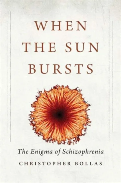 When the Sun Bursts – The Enigma of Schizophrenia