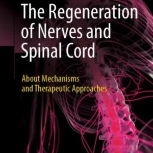 The Regeneration of Nerves and Spinal Cord