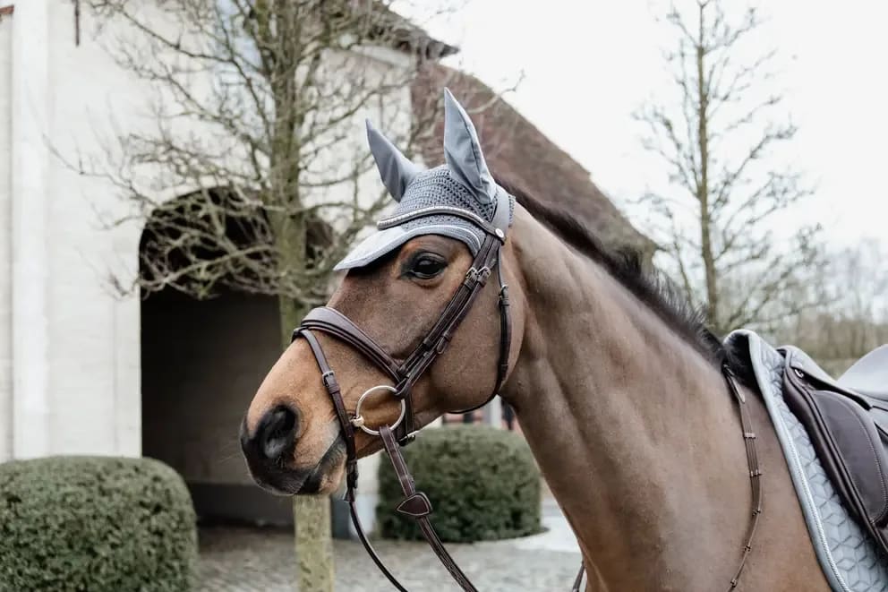 Kentucky Fly veil Wellington Velvet - Bilde 2