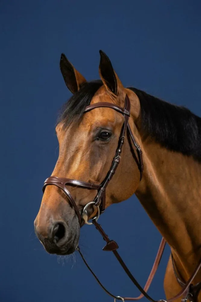 Dyon X-Fit Bridle New English Collection - Bilde 2