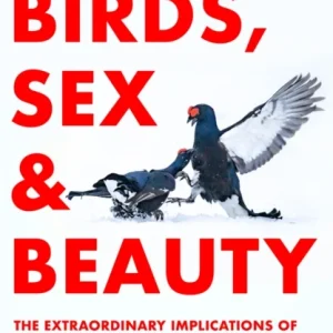 Birds, Sex and Beauty