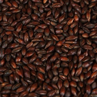 Carafa Special Type 3 (1300-1500 EBC) 100G – Weyermann
