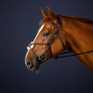 Dyon Fig 8 Noseband Bridle New English Collection