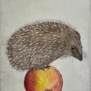 Nye høyder