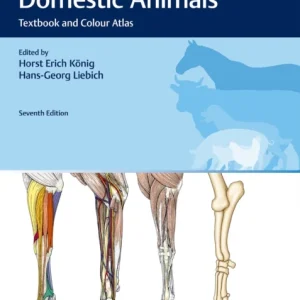 Veterinary Anatomy of Domestic Animals