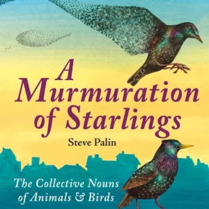 A Murmuration of Starlings A Murmuration of Starlings