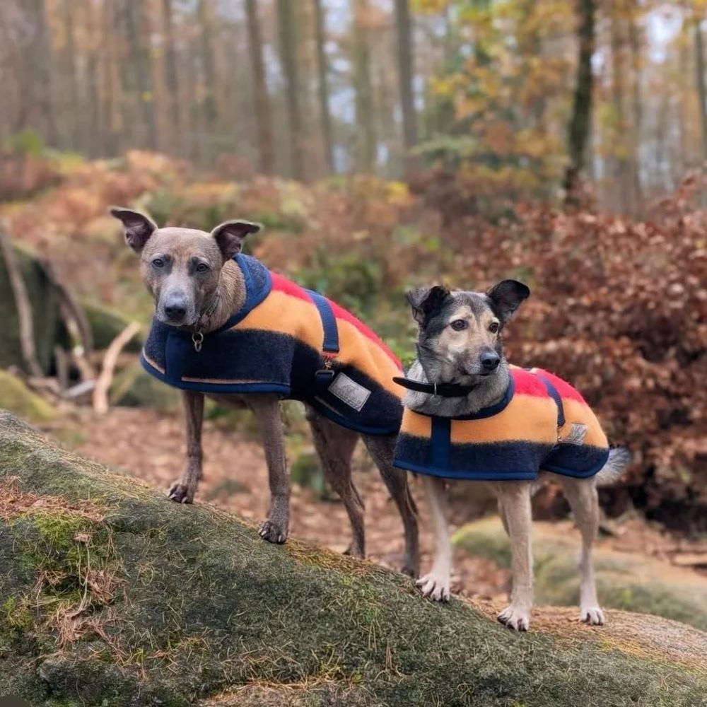 Friday Fox "Earlys of Whitney" Hundedekken