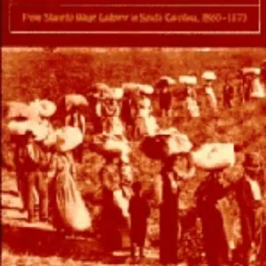 The Work of Reconstruction The Work of Reconstruction