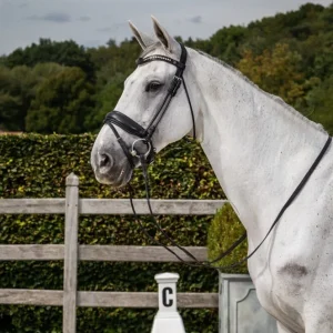 Dyon Matte Large Crank Noseband Bridle With Flash Rond Leather Collection