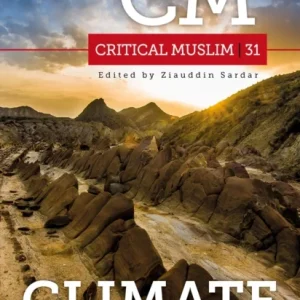 Critical Muslim 31