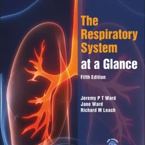 The Respiratory System at a Glance