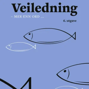 Veiledning Veiledning