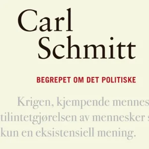 Begrepet om det politiske
