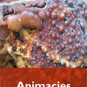 Animacies Animacies
