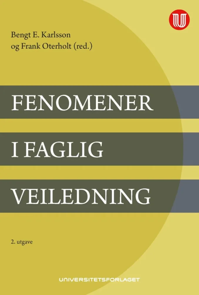Fenomener i faglig veiledning - Bilde 2