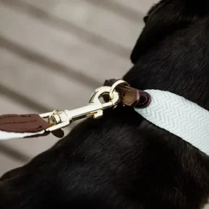 Kentucky Dog Lead Jacquard Kentucky Dog Lead Jacquard