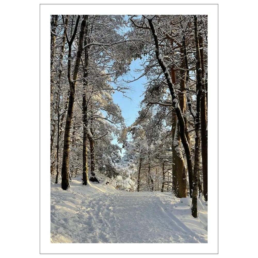 VINTERMAGI No7 – PLAKAT OG LERRET VINTERMAGI No7 – PLAKAT OG LERRET