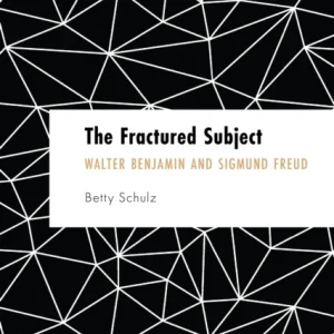 The Fractured Subject The Fractured Subject