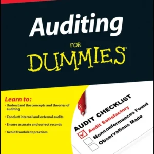 Auditing For Dummies Auditing For Dummies
