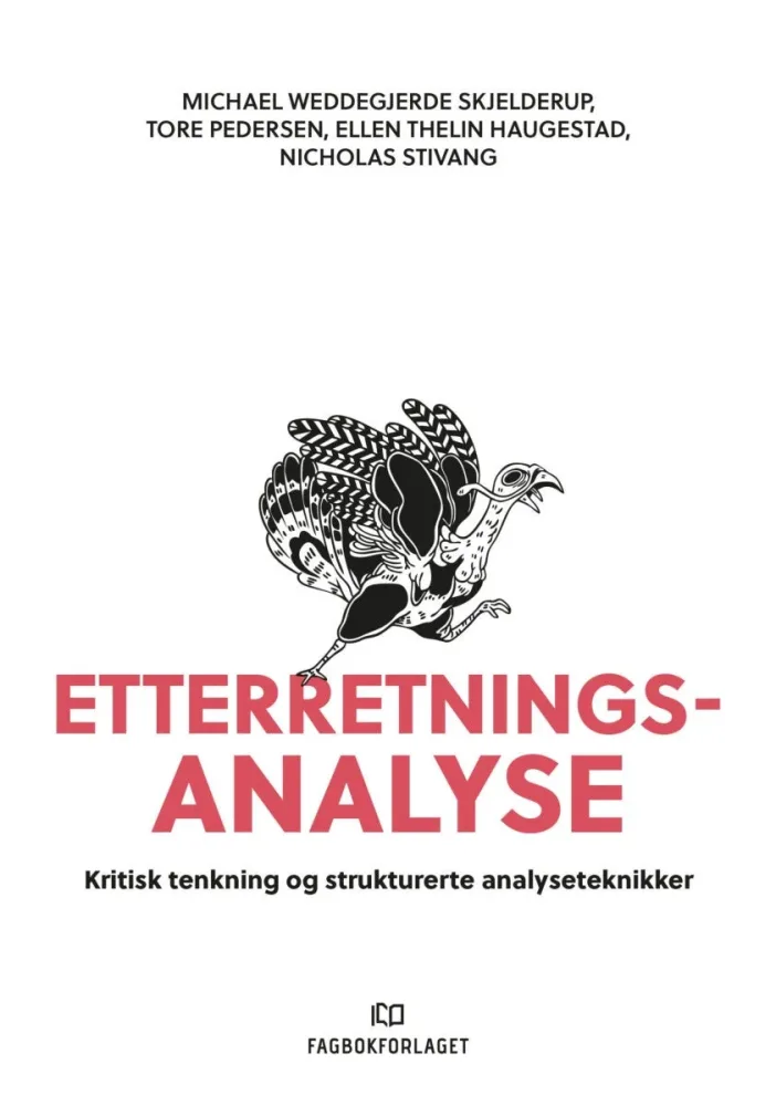 Etterretningsanalyse - Bilde 2