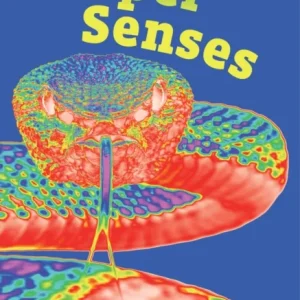 BIG CAT LW FLU_SUPER SENSES BIG CAT LW FLU_SUPER SENSES