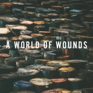 A World of Wounds