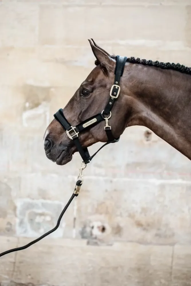 Kentucky Lead Rope Basic - Bilde 2