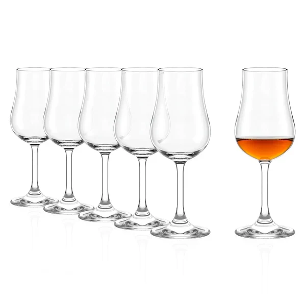 Tulipanglass Classic 185 ml 6 stk - Stölzle Lausits - Bilde 3
