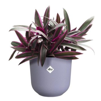 URTEPOTTESKJULER ELHO JAZZ RUND 26 CM LILLA