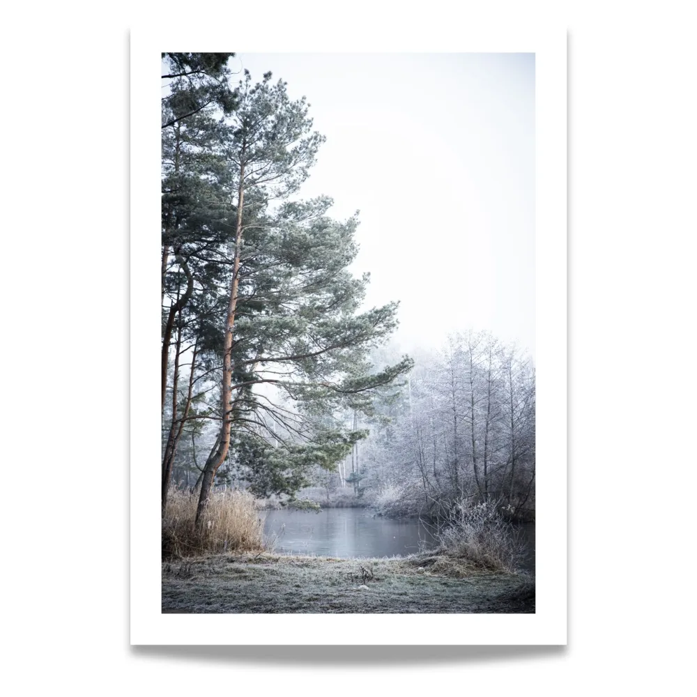 NORDISK VINTERLANDSKAP - PLAKAT OG LERRET
