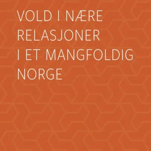 Vold i nære relasjoner i et mangfoldig Norge