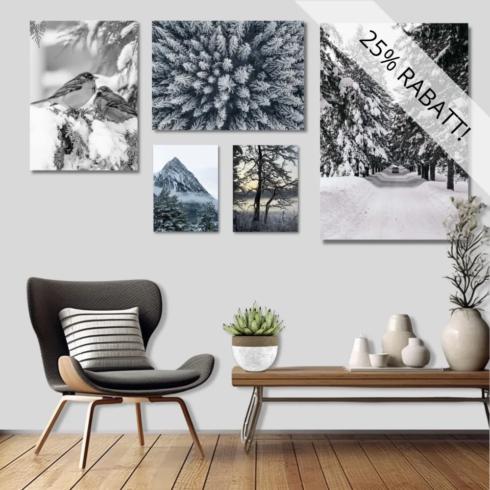 GALLERI VINTER No2 – PLAKAT OG LERRET