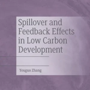 Spillover and Feedback Effects in Low Carbon Development
