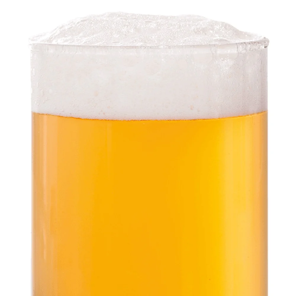 BEST Pilsen Malt (3,0-4,9 EBC) 100G - Bestmalz - Bilde 2