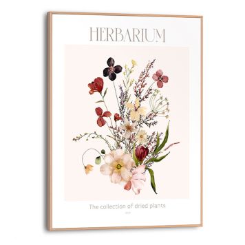 DEKORBILDE REINDERS HERBARIUM SLIM RAMME 30X40CM TRE DEKORBILDE REINDERS HERBARIUM SLIM RAMME 30X40CM TRE