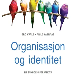 Organisasjon og identitet