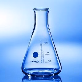 Erlenmeyerkolbe 250 ml