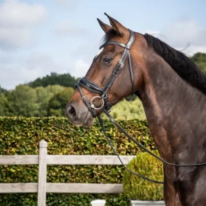 Dyon Patent Large Crank Noseband Bridle With Flash New English Collection