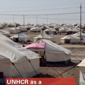 UNHCR as a Surrogate State UNHCR as a Surrogate State