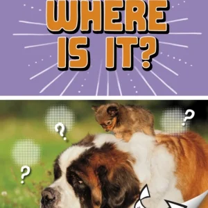 Where Is It? Where Is It?