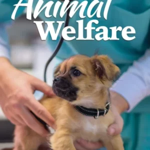 Unsung Heroes: Animal Welfare Unsung Heroes: Animal Welfare
